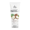 Coconut Hair Shampoo (100 ml) - HERBS AND HILLS