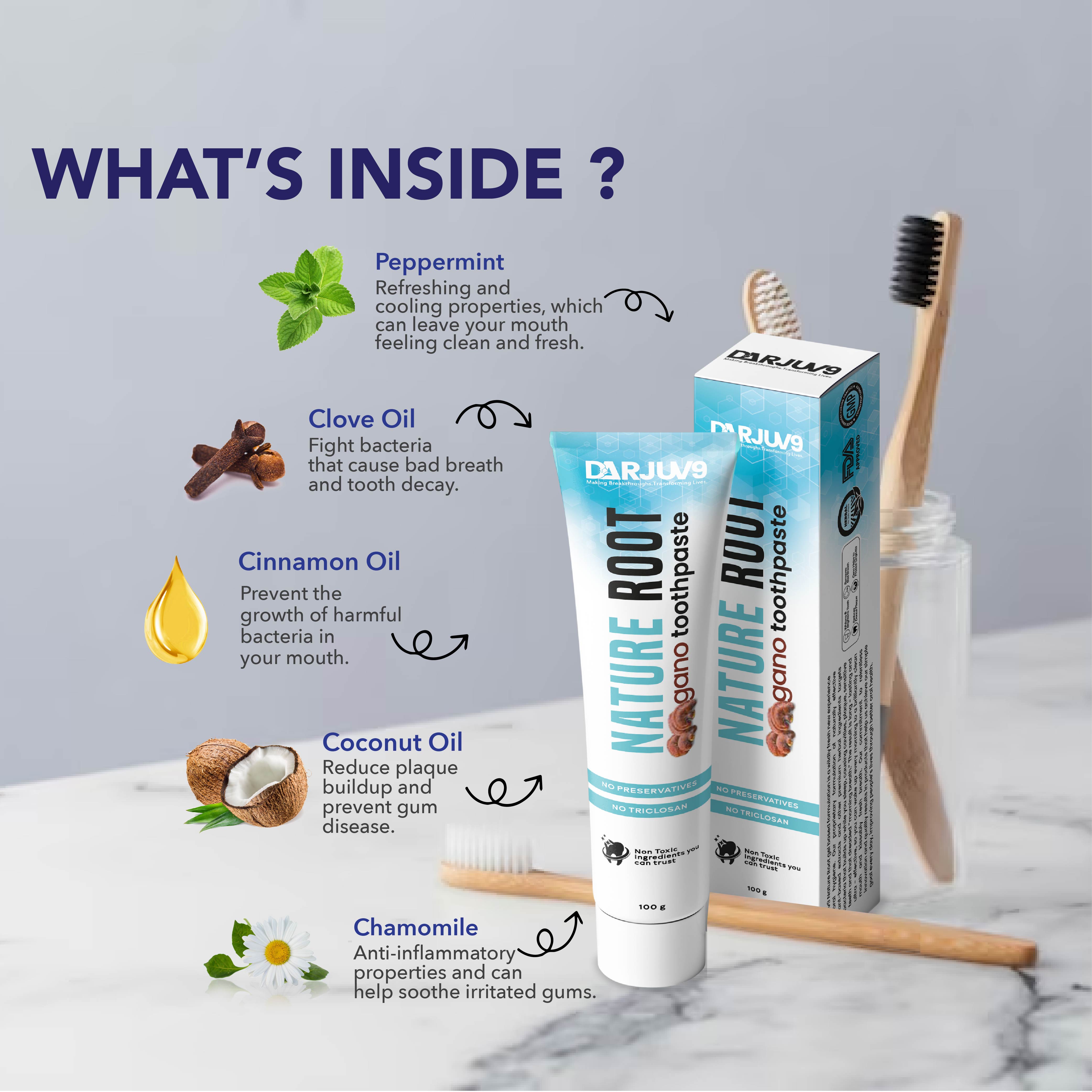 Natureroot Gano Toothpaste (100 gm) - HERBS AND HILLS